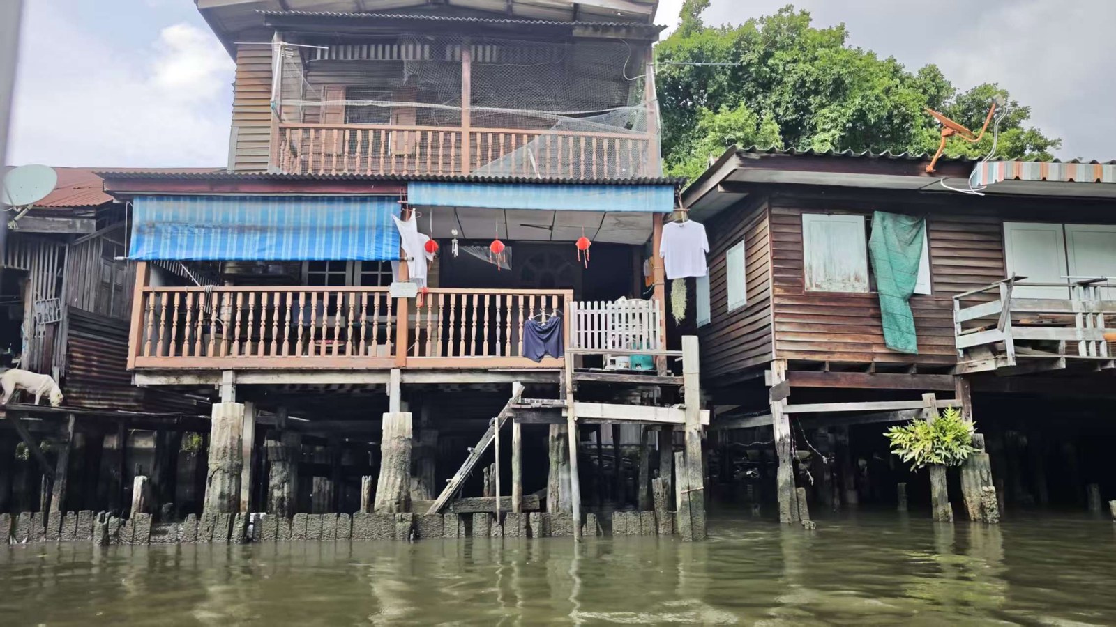 沿岸以木桩支撑的旧房子。